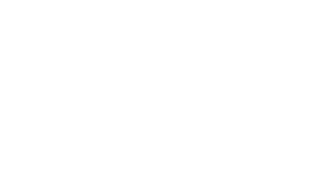 Optoma Preferred Partner Logo