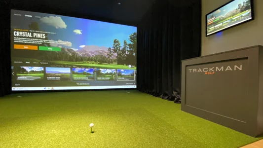 Tee Turf on Pro Perfection Putting Turf